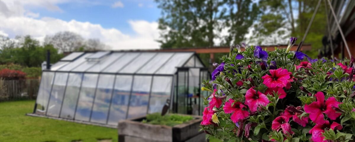 In diesem Artikel erfahren Sie, warum und wie Sie zu Hause einen schönen Landschaftsgarten und einen intelligenten Gemüsegarten anlegen können.