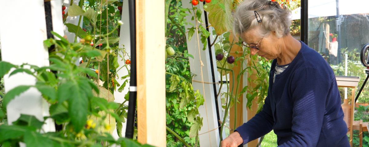 Femme âgée qui jardine dans sa serre