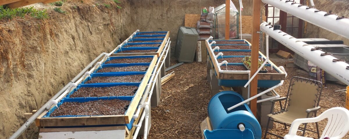 faux plan en jardinage : serre semi-enterrée walapini avec bacs de billes d'argiles