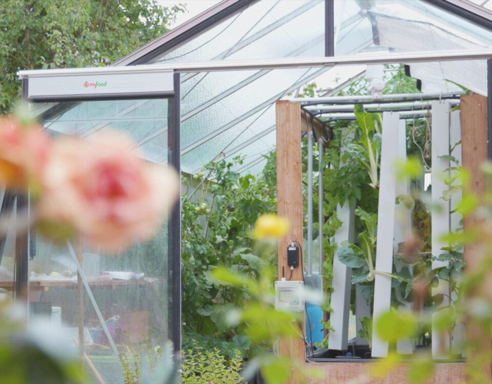 Serre de jardin autonome